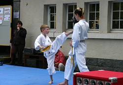 Weltkindertag 2007 Foto_0039: Kampfsportshow der Kinder-Karategruppe. Ein Junge zeigt, was er drauf hat
